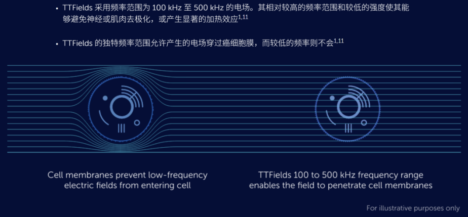 0ffcb591cf5882729bd6ca174673ca9.png
