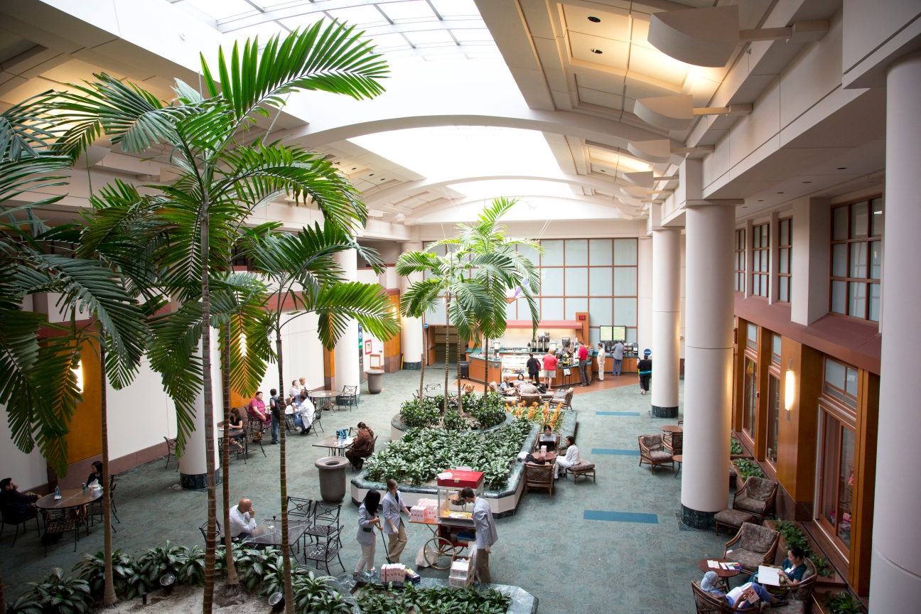 1757692439806810.jpg MDA .jpg