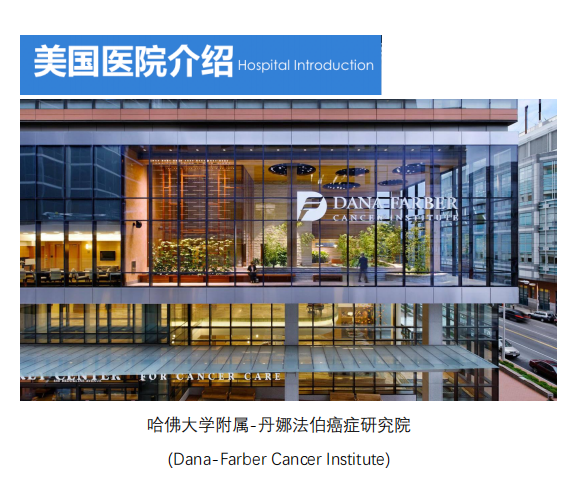 1767689395530639.png image.png