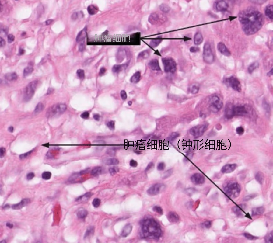 1779066856137657.jpg 微信图片_2026-05-18_091356_126.jpg