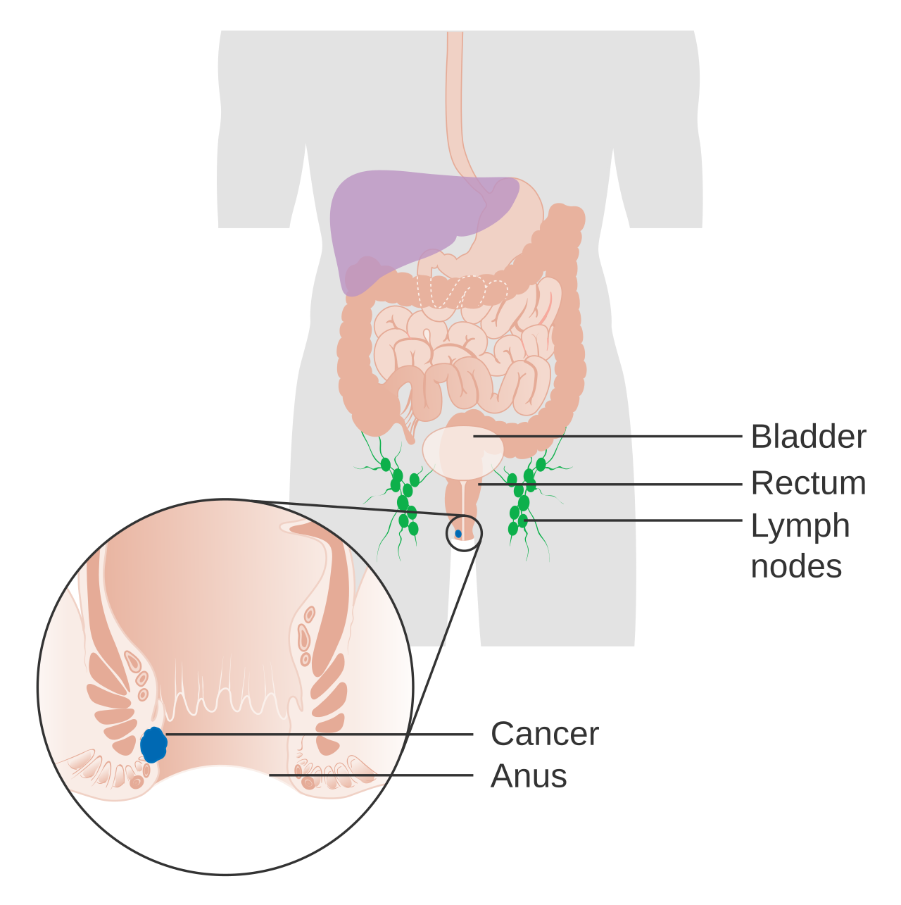 d7f6a7c5-6262-4f44-abd6-9875679ce941.png