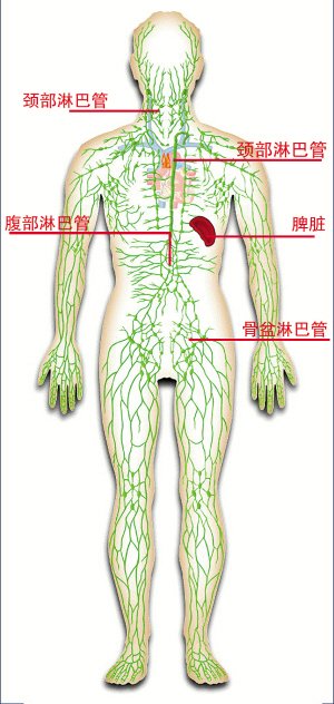 国内最好的淋巴瘤医院排名 | 全国治疗淋巴瘤权威医院盘点