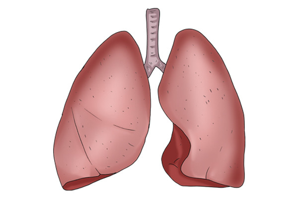 肺癌靶向治疗：EGFR 基因突变型肺癌最新疗法