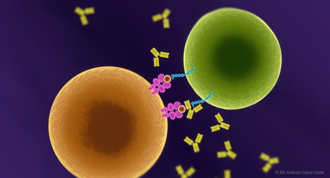 MD安德森癌症中心创新免疫疗法：LAG-3 抑制剂relatlimab